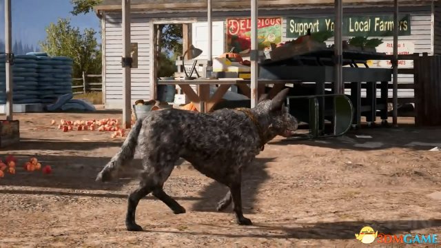 《極地戰嚎5》可愛狗狗宣傳片 聰明能乾會賣萌