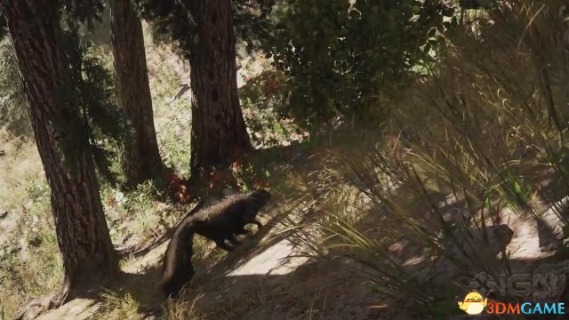 《極地戰嚎5》IGN獨家演示：黑熊臭鼬大灰狼啥都有
