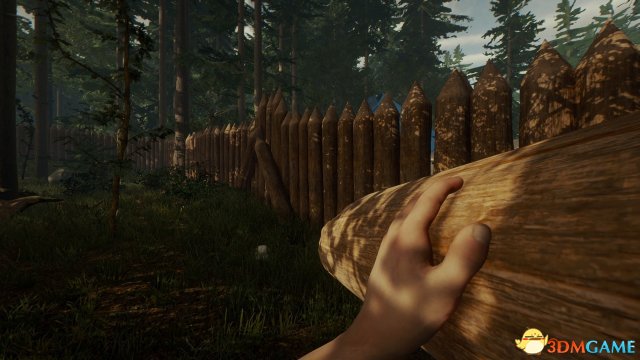 森林什麽時候發行 遊戲發行日期及售價介紹