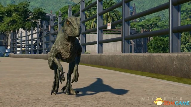 和恐龍一起生活 《侏羅紀世界：進化》新影片曝光