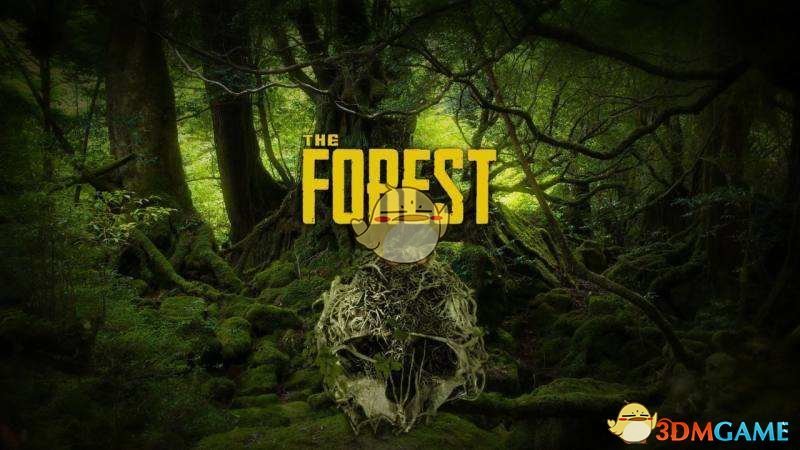 《森林》V1.0版劇情線索整理（總篇）