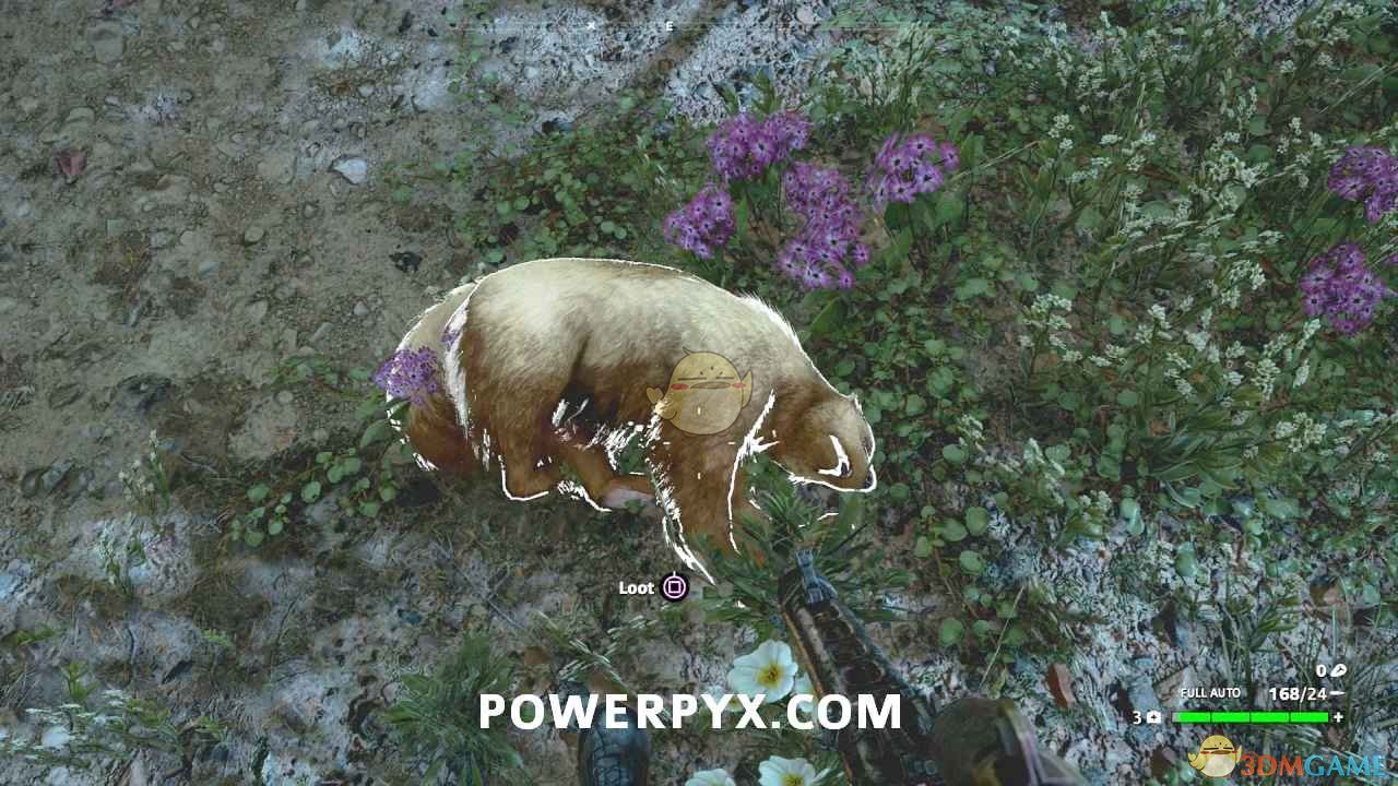 《極地戰嚎：新曙光》狼獾狩獵位置指南