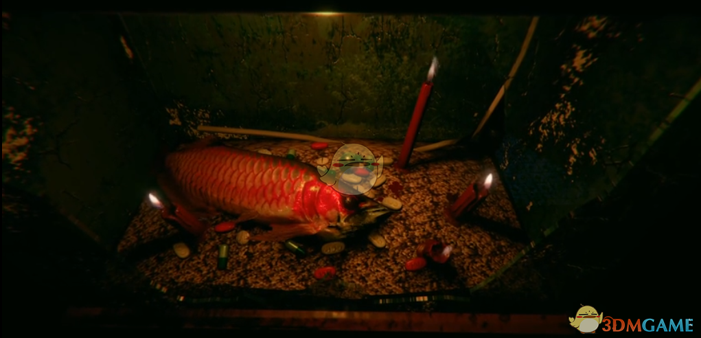 《還願》紅龍魚死亡原因分析