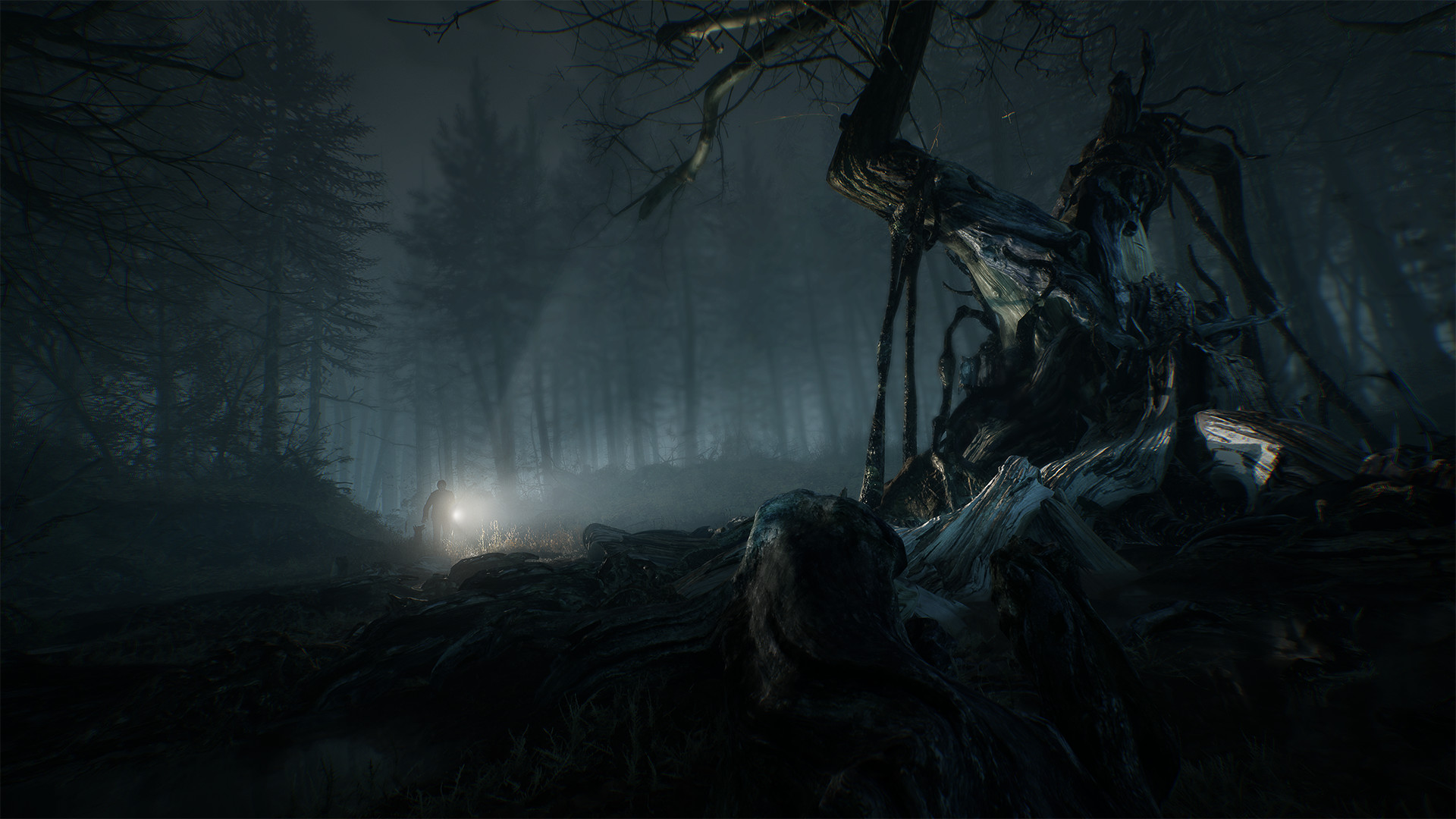 E3：《厄夜叢林》Steam支持簡中 推薦需GTX 1070顯卡