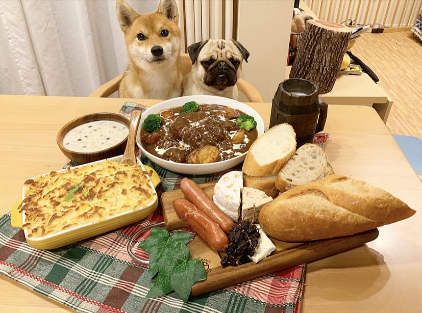 狗和飯我都想要 玩家自製《魔物獵人世界：冰原》貓飯 