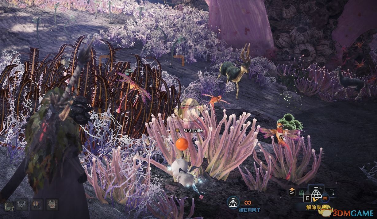 《魔物獵人：世界》陸珊瑚台地可捕捉生物匯總