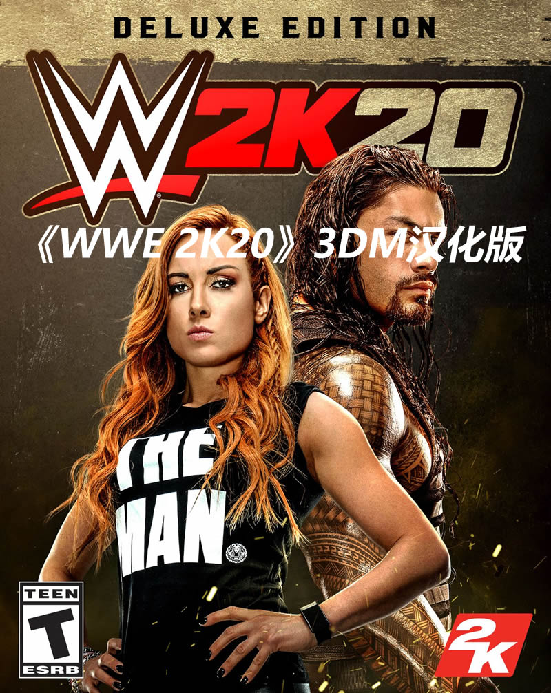 3DM漢化組製作 《WWE 2K20》嘗鮮版漢化補丁發布