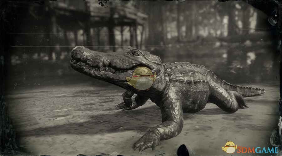 《碧血狂殺2》美國短吻鱷（小）圖鑒一覽