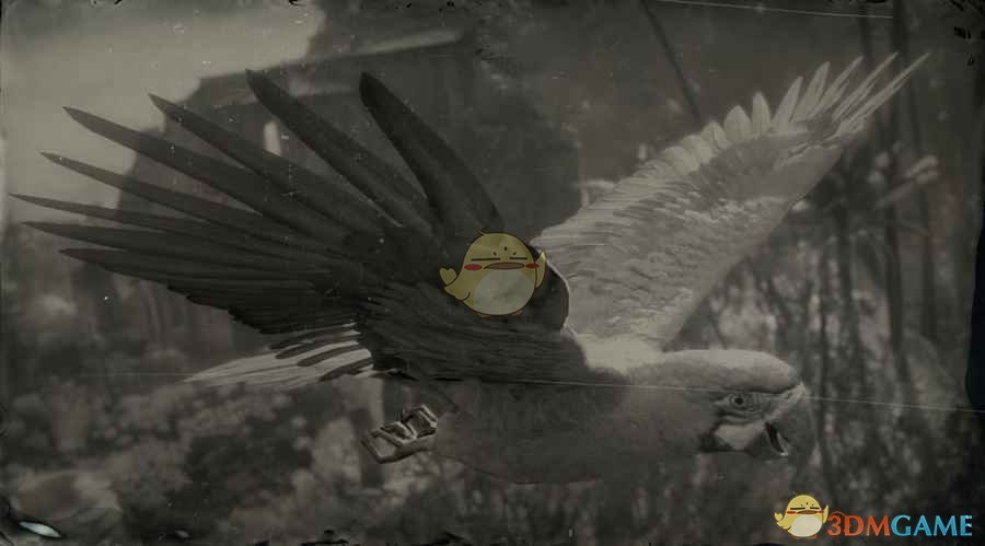 《碧血狂殺2》藍黃金剛鸚鵡圖鑒一覽