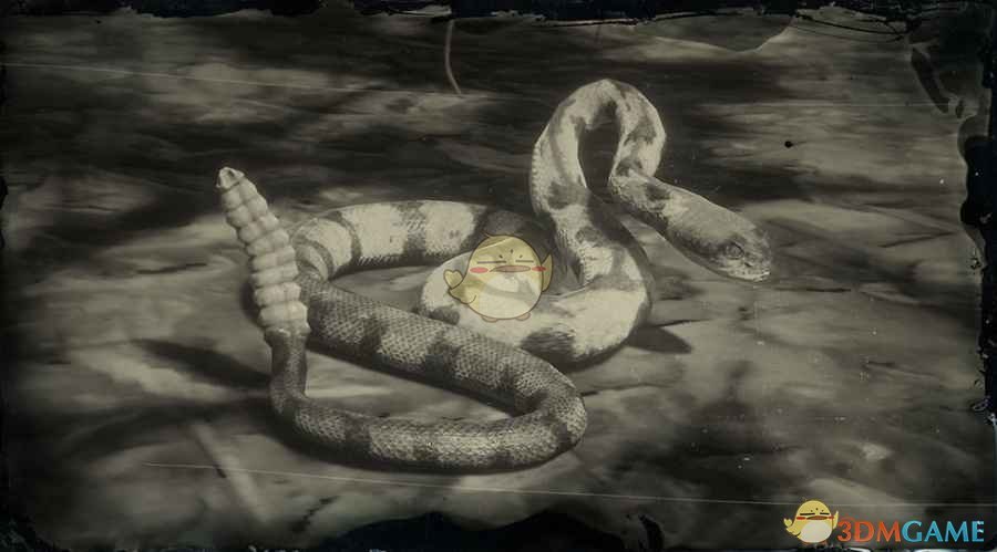 《碧血狂殺2》木紋響尾蛇圖鑒一覽