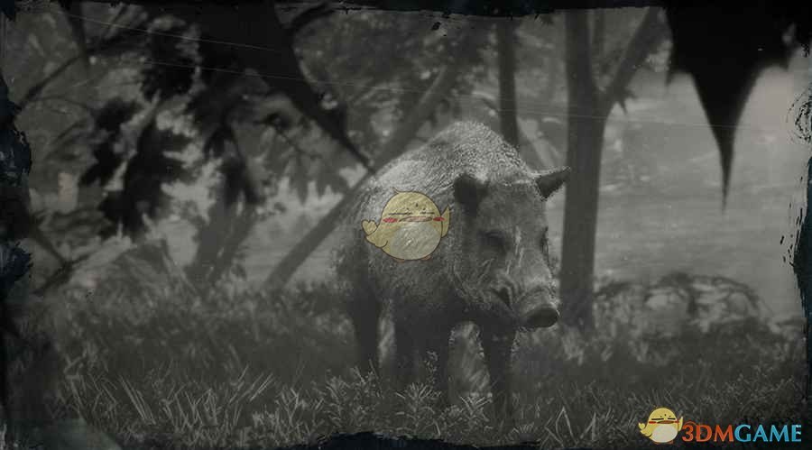《碧血狂殺2》傳說野豬圖鑒一覽