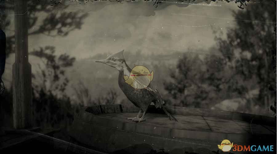《碧血狂殺2》北美黑啄木鳥圖鑒一覽