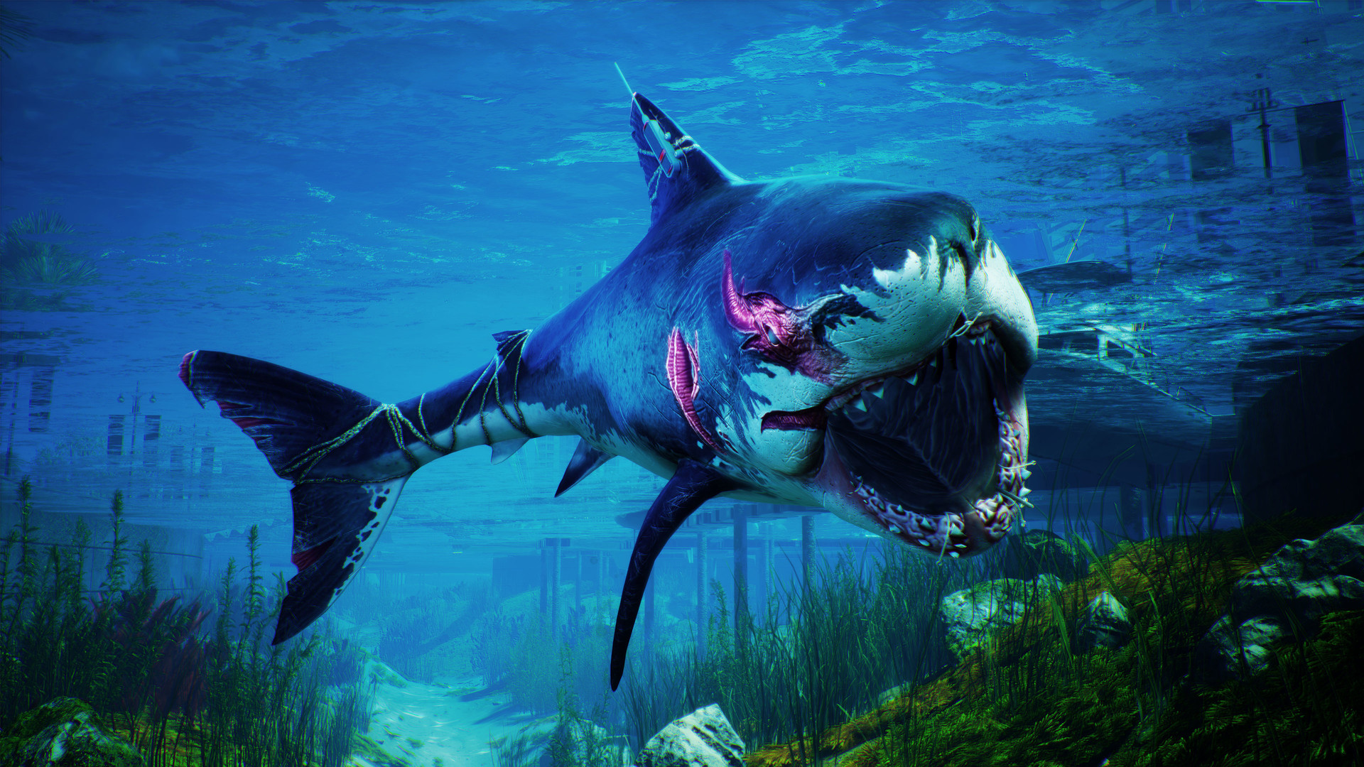 《食人鯊》IGN 7分：玩法有趣但缺乏深度