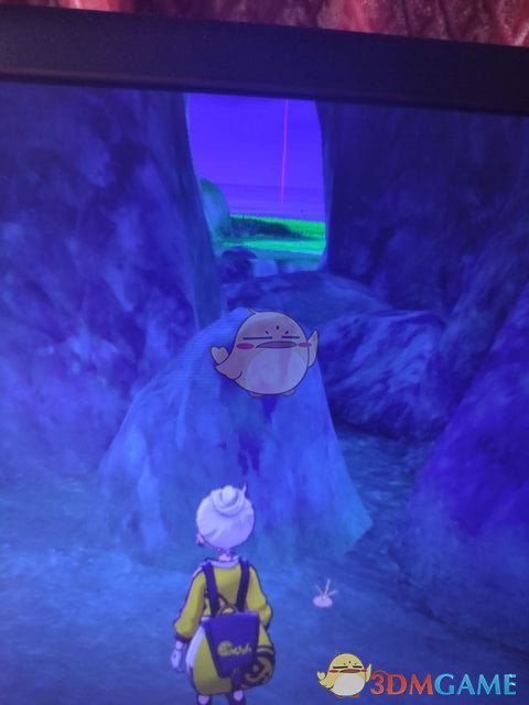 《寶可夢：劍/盾》鬥志洞窟地鼠位置分享