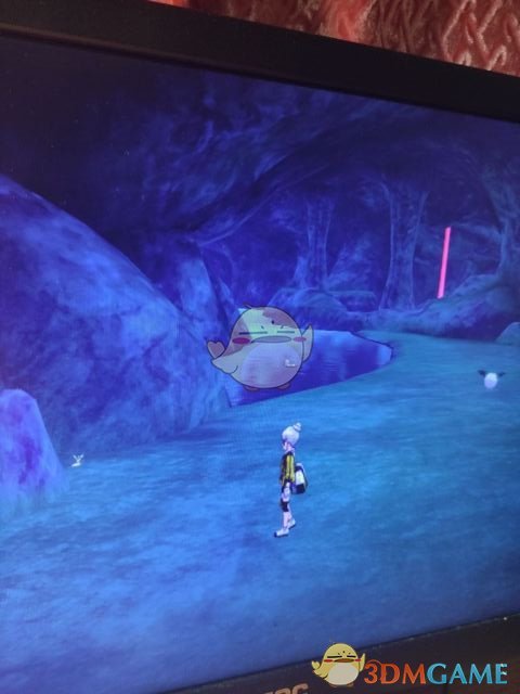 《寶可夢：劍/盾》鬥志洞窟地鼠位置分享