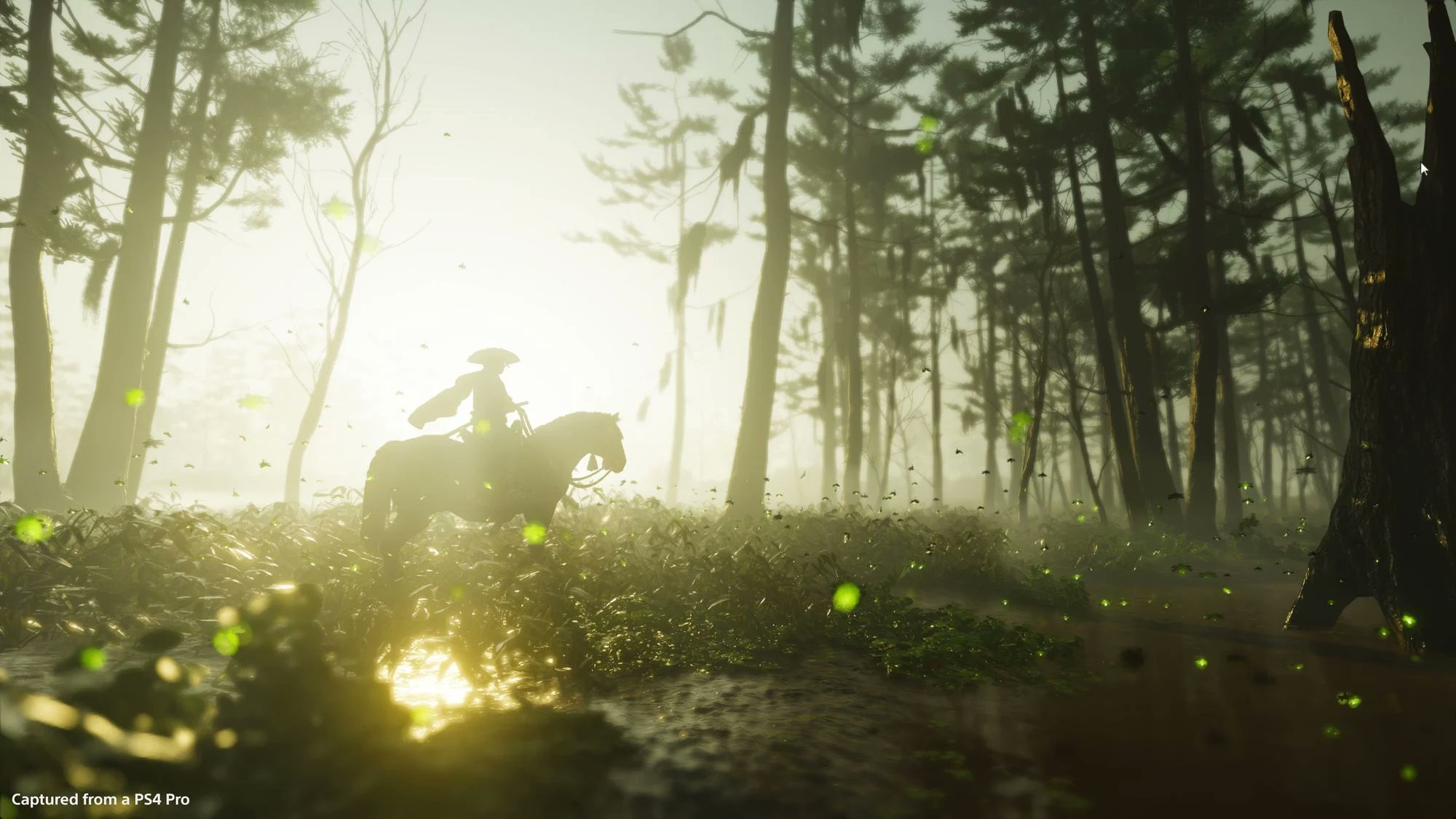 《對馬戰鬼》PS4主題免費領取 動態視覺效果超棒