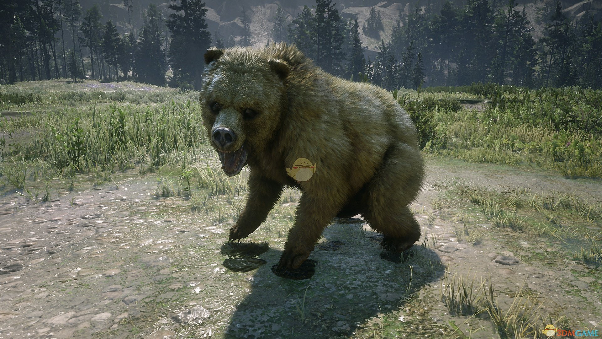 《碧血狂殺2》傳說金色靈熊及其服裝外觀一覽