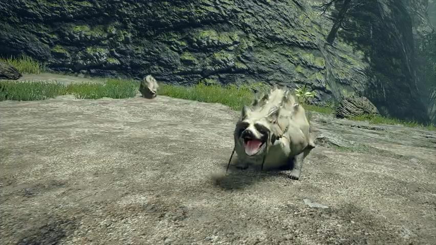 《魔物獵人：崛起》狸獸視頻 貌似狸貓能脹大身體