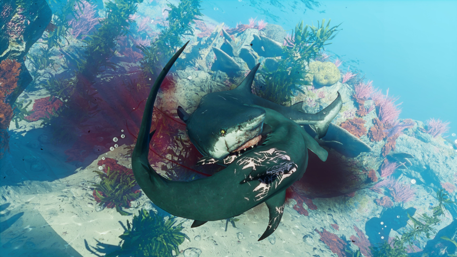 1月PS+會免遊戲《食人鯊》確認DLC正在開發中