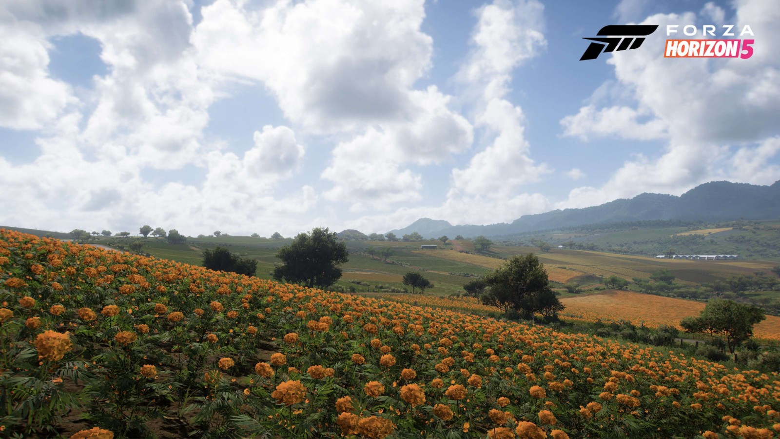 《極限競速：地平線5》全新4K截圖展示