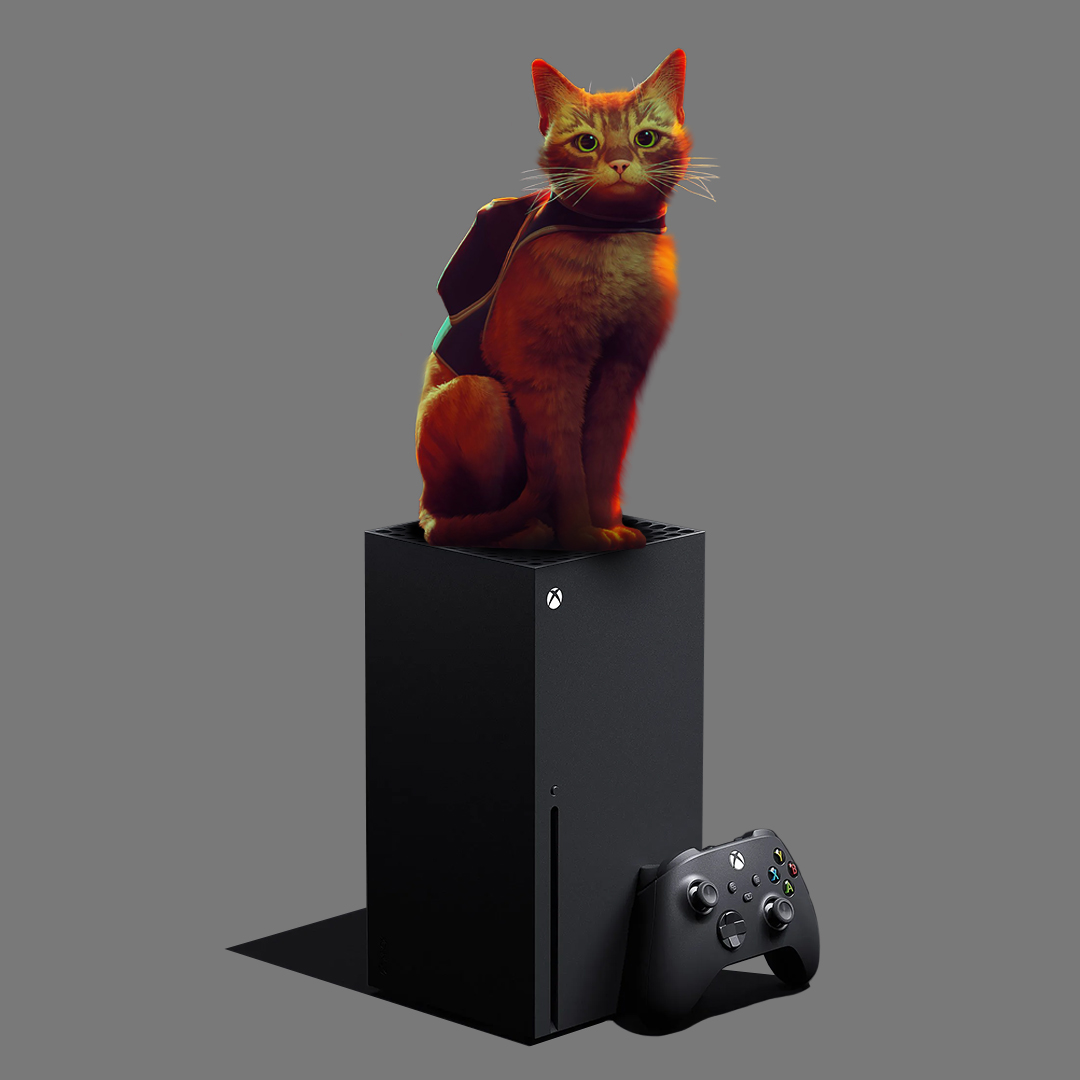 Steam好評如潮 貓咪冒險遊戲《迷失》正式登陸Xbox