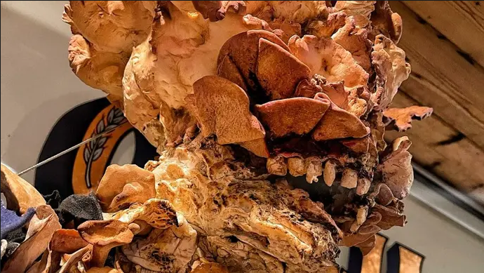 “真菌”感染 母女用麵包製作《最後的生還者》循聲者雕像