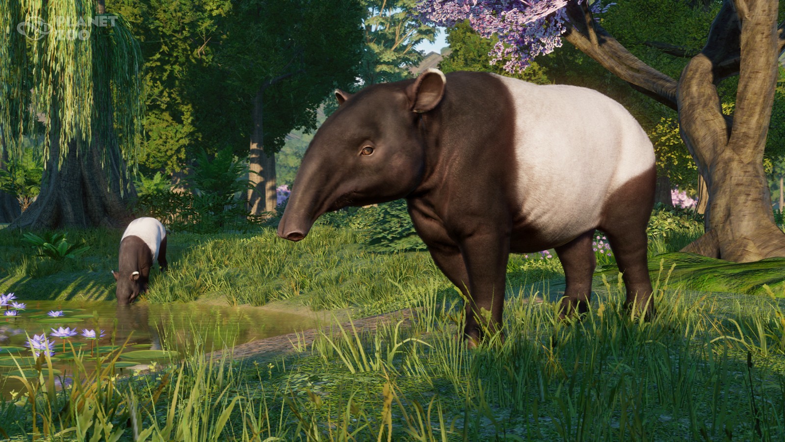 《動物園之星》新DLC歐亞動物包發售 1.16免費更新同步推出