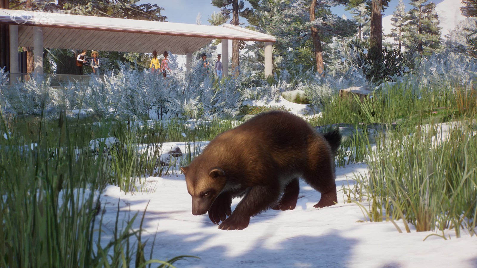 《動物園之星》新DLC歐亞動物包發售 1.16免費更新同步推出