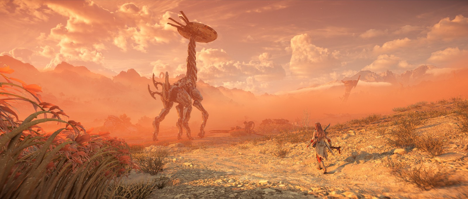 《地平線：西之絕境》PC版截圖 風景唯美人物逼真