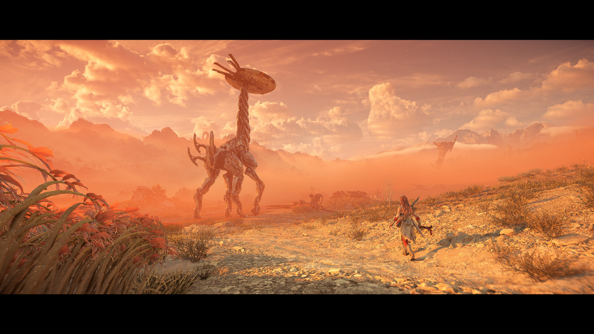 《地平線：西之絕境》Steam特別好評 玩家稱讚優化相當給力