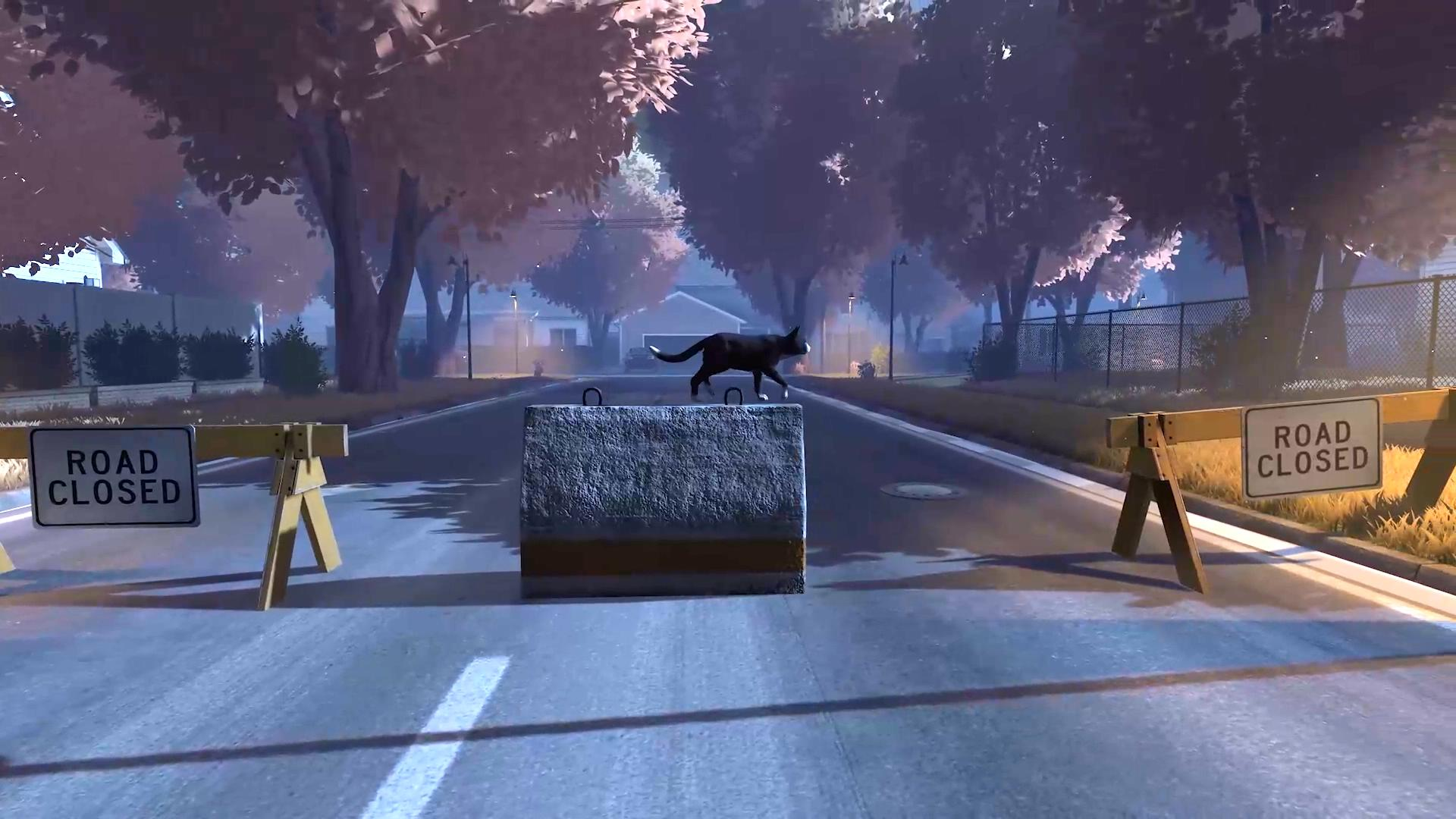 《冒牌貓謎》亮相高能電玩節  一場貓咪的尋家之旅