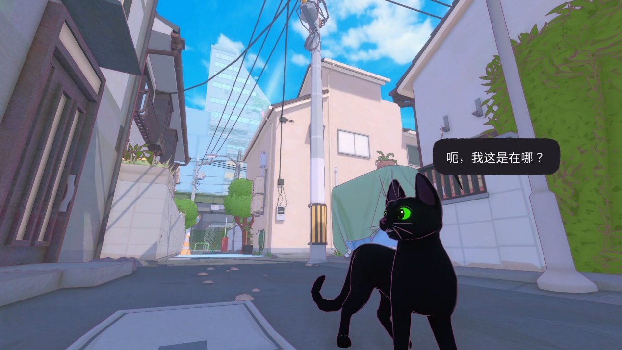 《小貓咪大城市》5月9日上線 登陸Steam/NS/Xbox